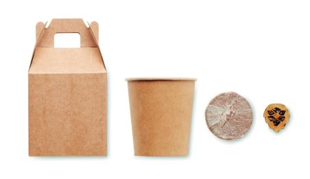 Set pino Ecológico Personalizado 7MO6228