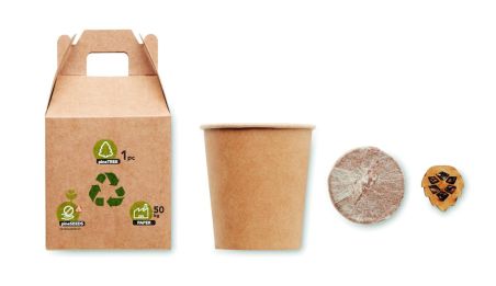 Set pino Ecológico Personalizado 7MO6228