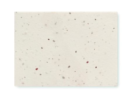 Bloc de notas semillas hierba Ecológica Personalizada 7MO6234