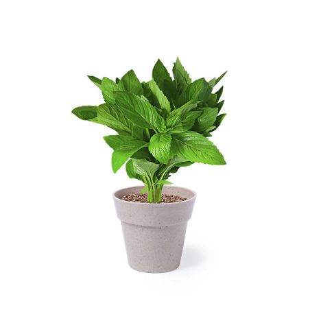 Set Ecológico Personalizado 85113