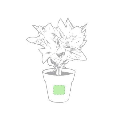 Set Ecológico Personalizado 85113