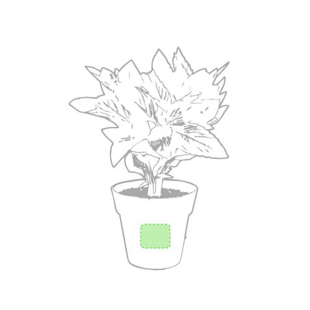 Set Ecológico Personalizado 85113