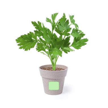 Set Ecológico Personalizado 85113