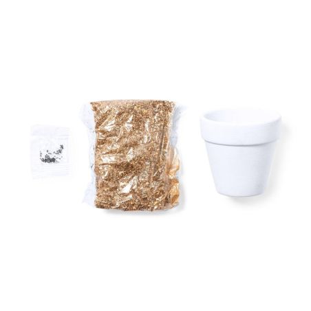 Maceta Ecológica Personalizada 81931