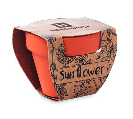 Juego de macetas de terracota Ecológico Personalizado 7MO6147