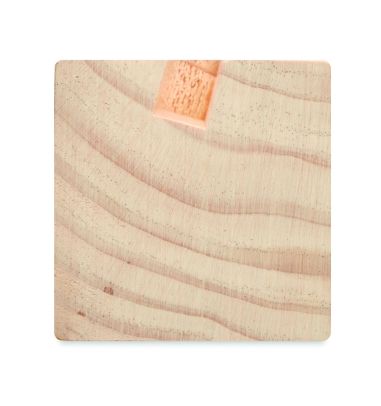 Set sobremesa kit de semillas Ecológica...