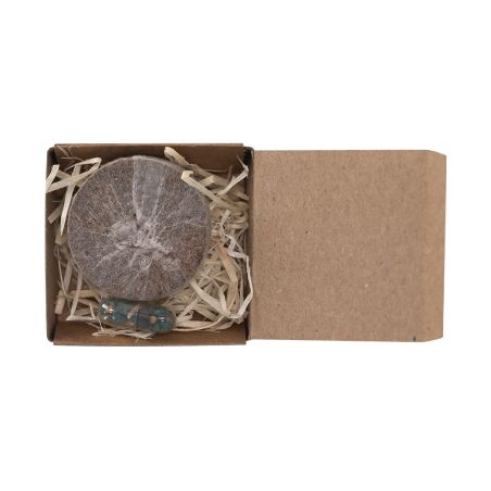 Pack cápsula semillas y pastilla sustrato