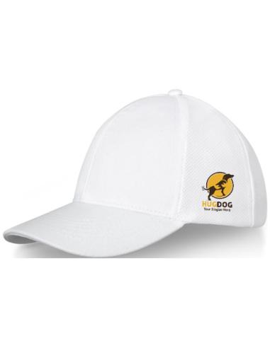 Gorra de camionero de 6 paneles "Driko"