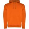 Sudadera con capucha para hombre Ecológica Personalizada 6R1067 - Imagen 45