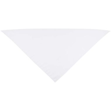 Pañuelo Ecológico Personalizado 638341