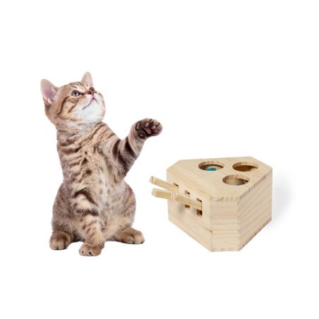 Juego Ecológico Personalizado 820318