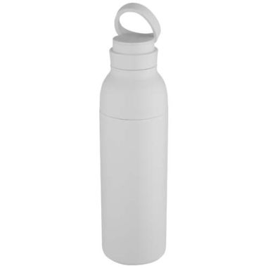 Botella de 650 ml con doble pared aislante de...