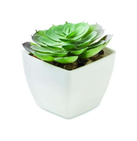Mini planta artificial Ecológica Personalizada 7MO2853