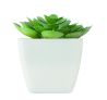 Mini planta artificial Ecológica Personalizada 7MO2853 - Imagen 2