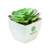 Mini planta artificial Ecológica Personalizada 7MO2853 - Imagen 4