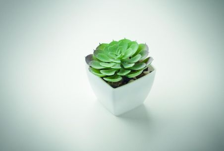 Mini planta artificial Ecológica Personalizada 7MO2853