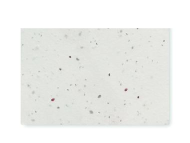 Tarjeta de visita de semillas d Ecológica...