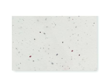 Tarjeta de visita de semillas d Ecológica Personalizada 7MO2993