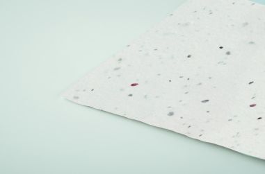 Tarjeta de visita de semillas d Ecológica...