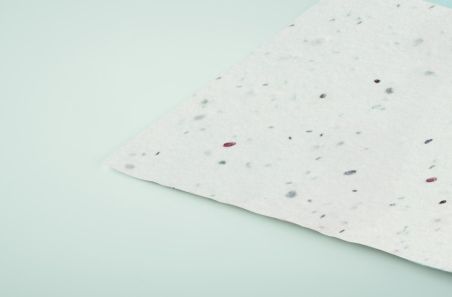 Tarjeta de visita de semillas d Ecológica Personalizada 7MO2993