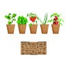 Kit cultivo verduras semillas 5 especies tableta tierra - Imagen 1