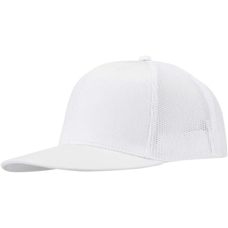 Gorra algodón 260 g/m² 6 paneles visera plana