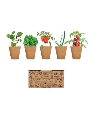 Kit de cultivo de verduras Ecológico Personalizado ARAC