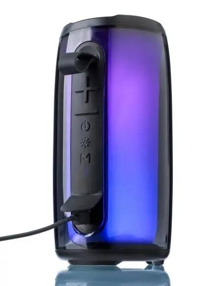 Altavoz exterior ABS PS 5W IPX6 luz RGB