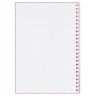 Cuaderno A4 espiral cubierta sintética 50 hojas - Imagen 21