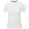 Camiseta manga corta mujer algodón BCI 160 g/m² - Imagen 15