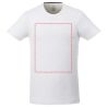 Camiseta manga corta hombre algodón orgánico elastano - Imagen 10