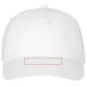 Gorra Feniks 5 paneles sarga algodón 175 g ojales bordados - Imagen 12