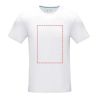 Camiseta algodón orgánico 160 g/m² manga corta - Imagen 7