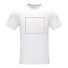 Camiseta algodón orgánico 160 g/m² manga corta - Imagen 16