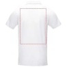 Polo algodón orgánico piqué 180 g/m² - Imagen 12