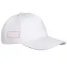 Gorra Doyle 5 paneles algodón cepillado 260 g hebilla - Imagen 16