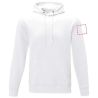 Sudadera algodón 240 g/m² capucha y bolsillo - Imagen 32