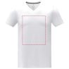 Camiseta Somoto hombre cuello V algodón 160 g - Imagen 9