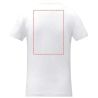 Camiseta algodón OEKO-TEX - Imagen 9