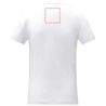 Camiseta algodón OEKO-TEX - Imagen 23
