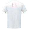 Camiseta técnica 105 g secado rápido - Imagen 32