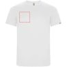 Camiseta deportiva hombre poliéster reciclado - Imagen 26