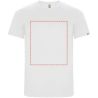 Camiseta deportiva hombre poliéster reciclado - Imagen 27