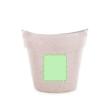 Maceta biodegradable con semillas de petunia