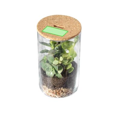 Terrario cactus cristal borosilicato tapa corcho bambú