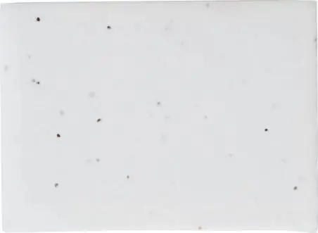 Notas adhesivas 6 colores estuche semillas biodegradable