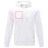 Sudadera algodón 240 g/m² capucha y bolsillo - Imagen 20