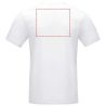Camiseta algodón orgánico 160 g/m² manga corta - Imagen 33