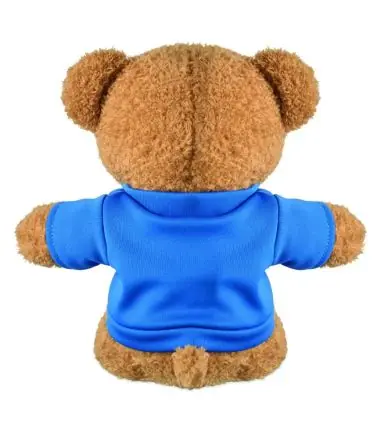 Osito de peluche con camiseta Ecológica Personalizada 7MO2745