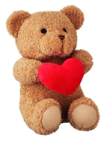 Osito de peluche corazón 23cm Ecológico Personalizado 7MO2949
